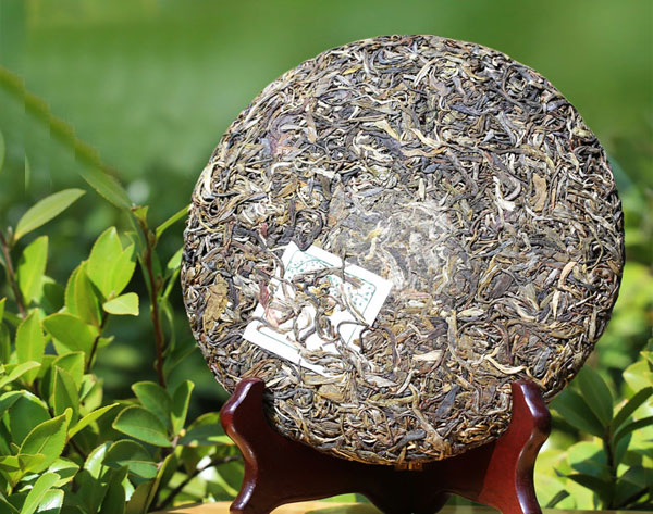 生(shēng)普洱茶餅特級古樹(shù)黑(hēi)茶